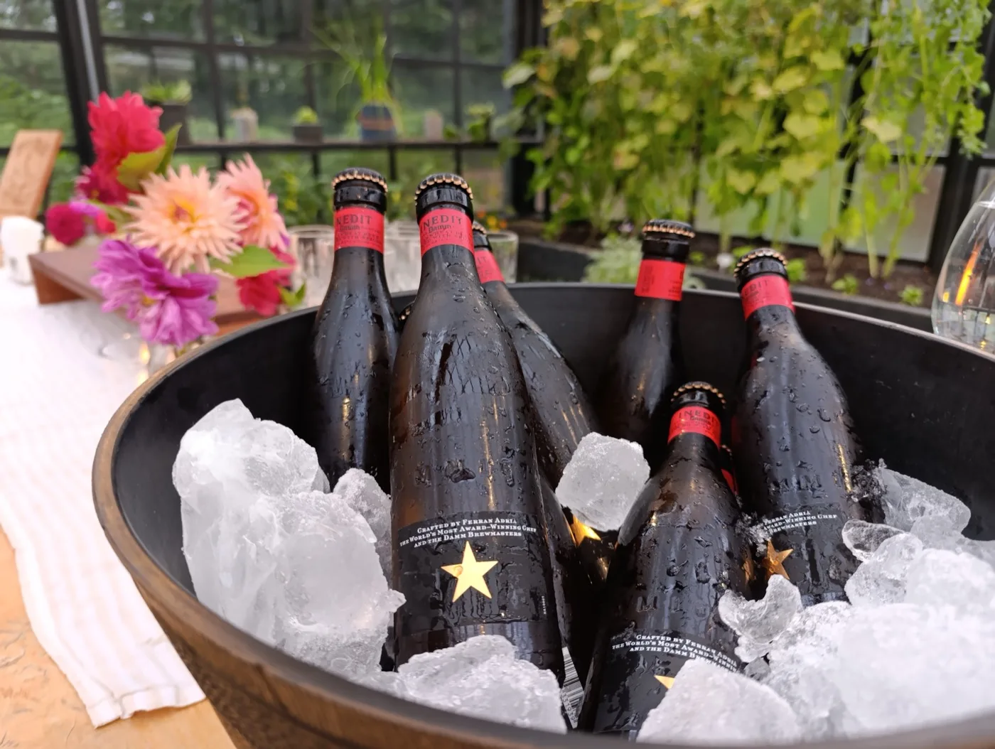 Cervezas en evento social — La Vikinga