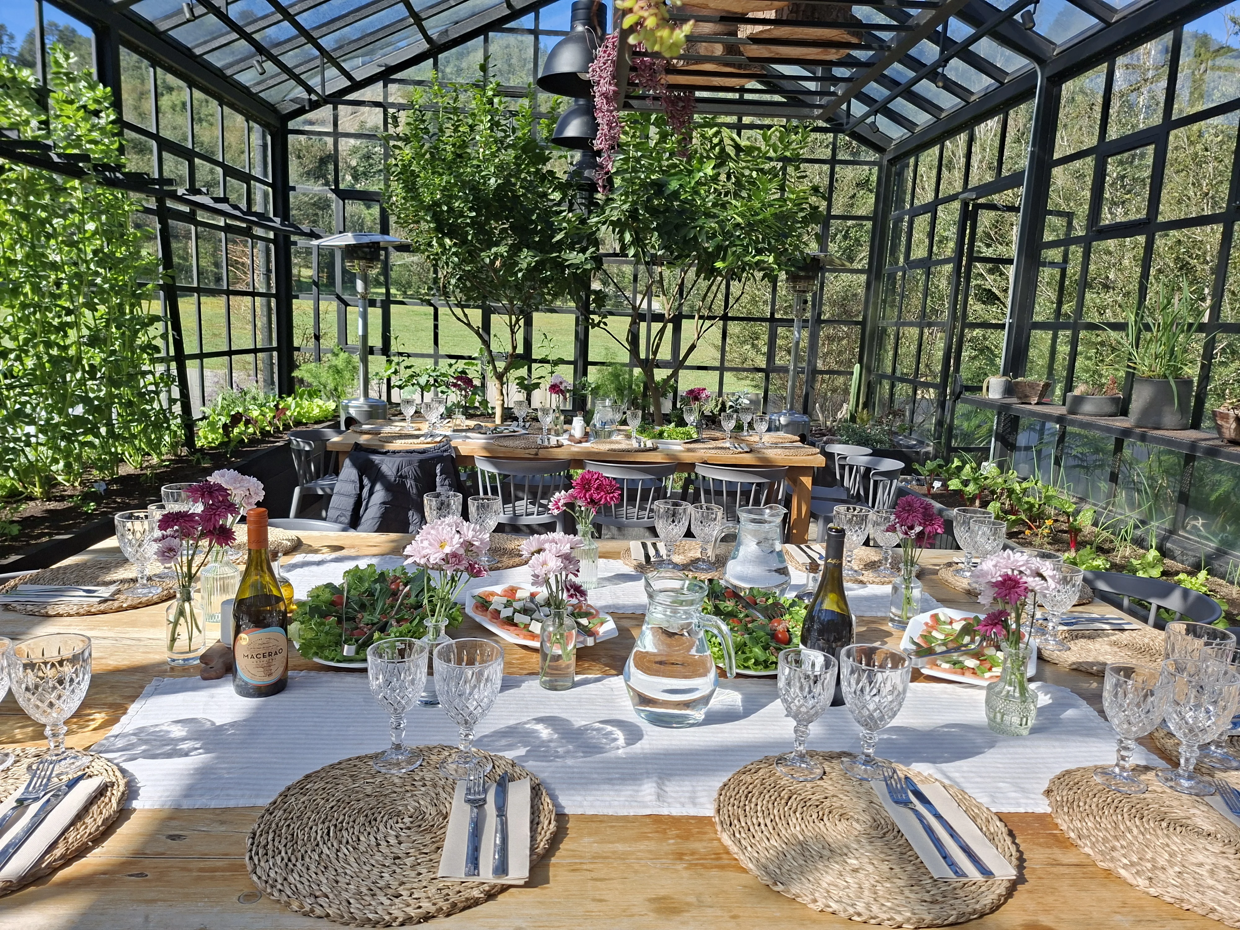 Almuerzo corporativo en invernadero con jardín