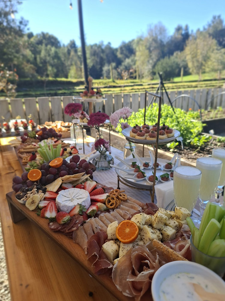 Tabla grazing en jardín — catering La Vikinga