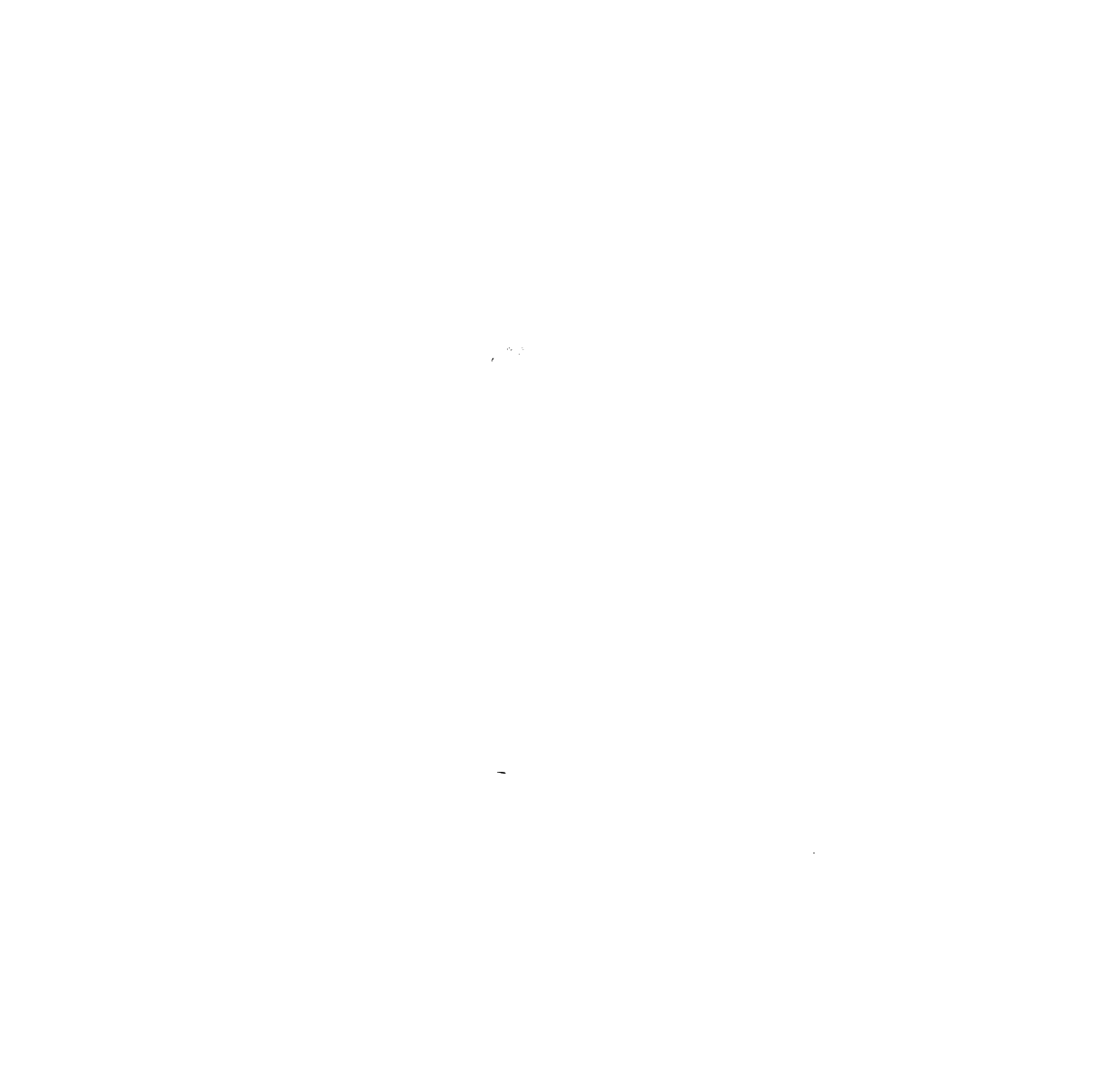 Charcutería La Vikinga