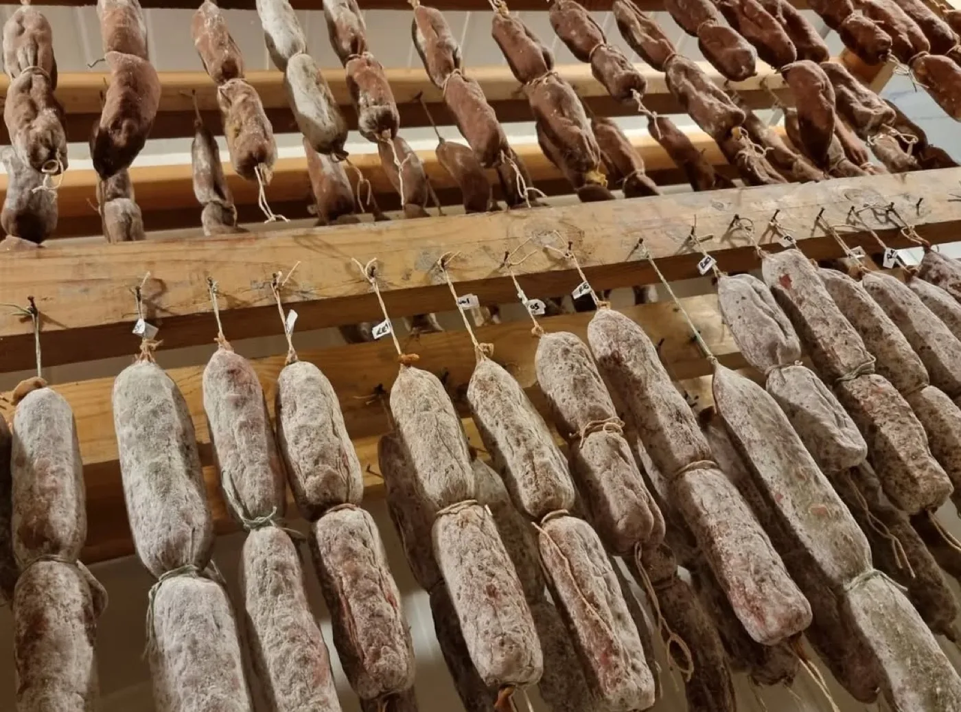 Salames colgados en cámara de maduración